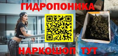 шишки Апшеронск