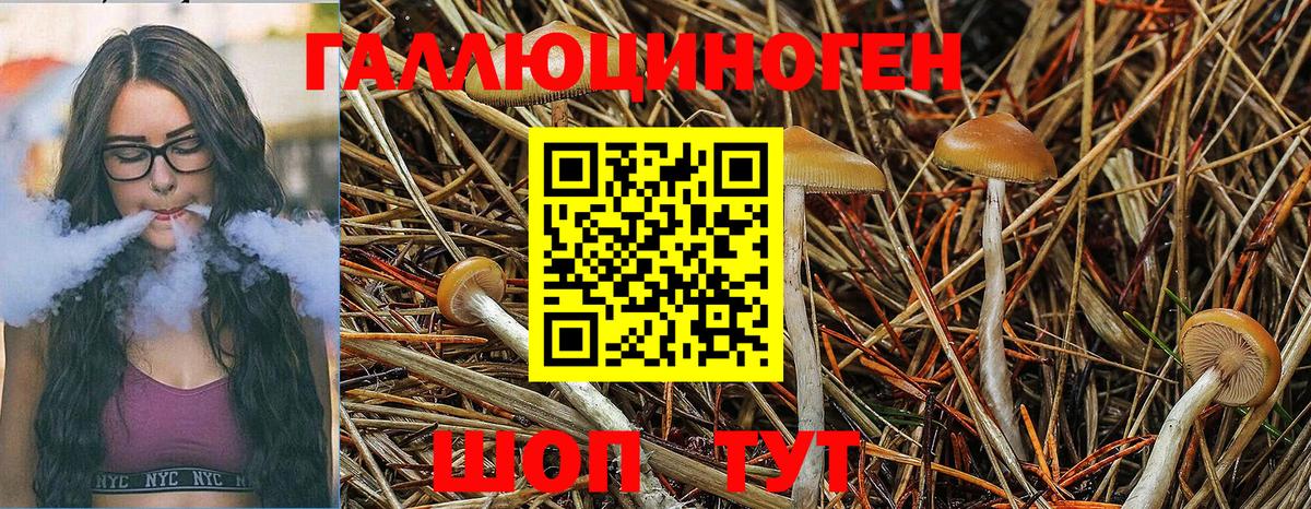 Апшеронск  Галлюциногенные грибы ЛСД  Псилоцибиновые грибы MAGIC MUSHROOMS  Вход с VPN 