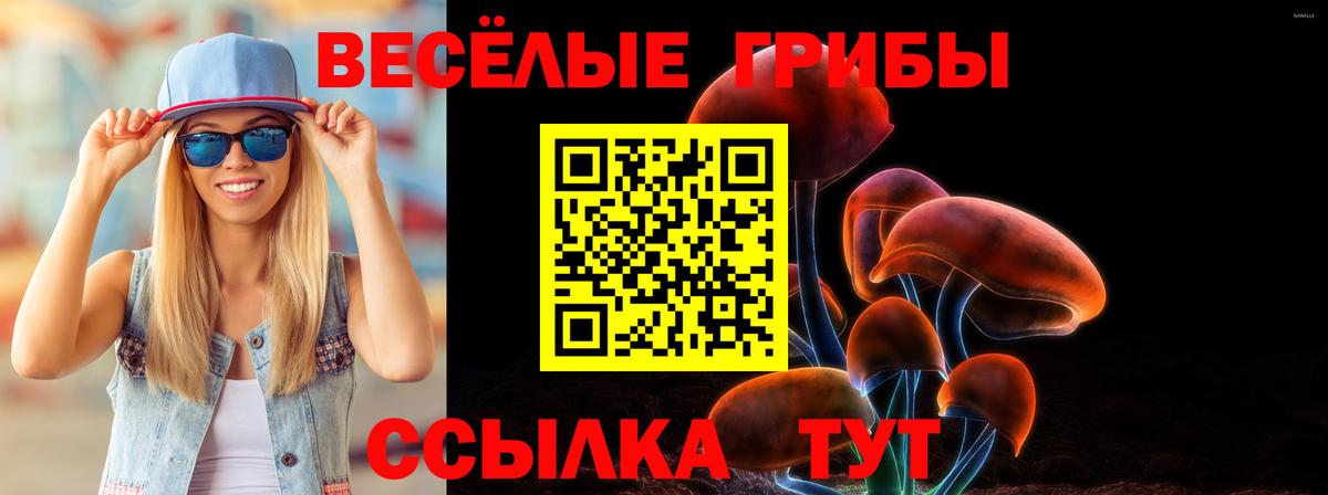 Псилоцибиновые грибы GOLDEN TEACHER Апшеронск